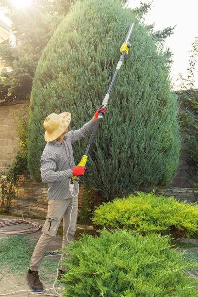 Best Soil Testing and Treatment  in New Hyde Park, NY